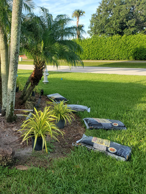 Landscape Installation Florida